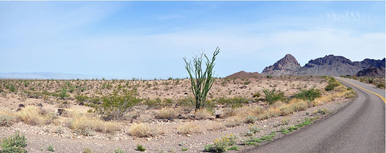 Arizona SR-22 insurance requirements