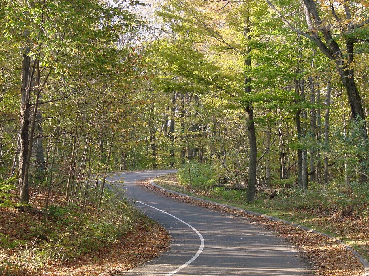 Michigan SR-22 insurance requirements